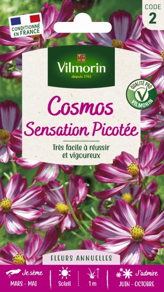 Fleurs - Cosmos Picotée - PACKAGING_RECTO